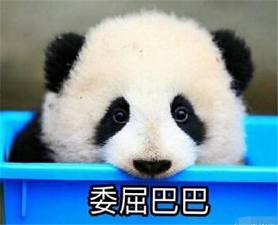大熊猫表情包套图:兽人永不为奴