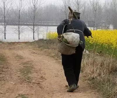 农民交养老保险, 到底能拿多少钱? 2018最新!