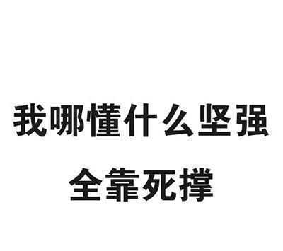         我哪懂什么坚强,全靠死撑