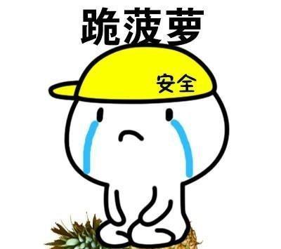 斗图搞笑表情,花式跪|亲爱的,我错了无锡日语表情包图片