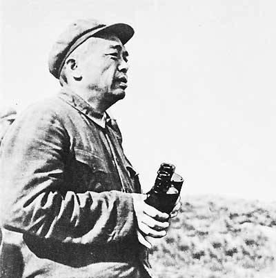 1950年朝鲜战争, 毛主席为何不考虑刘伯承作志