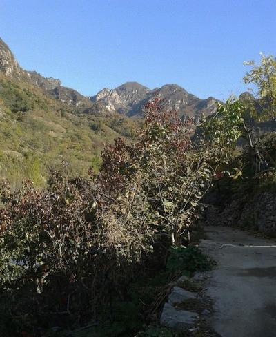 还记得电影《青松岭》吗？如今那里火了