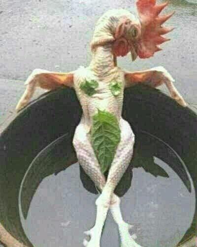 妹纸对我说天津安徽湖南江西，啥意思啊，秒懂的来