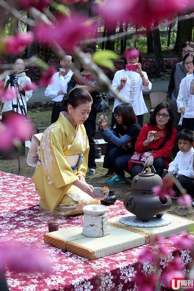 台湾中部3大必游赏樱胜地,春天来了你不去走走