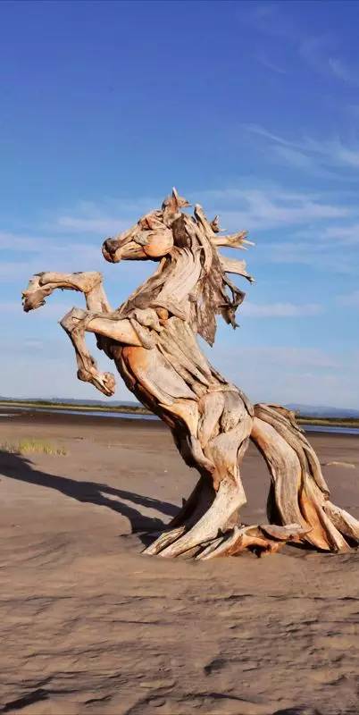 如此木雕:看了才知道什么叫栩栩如生