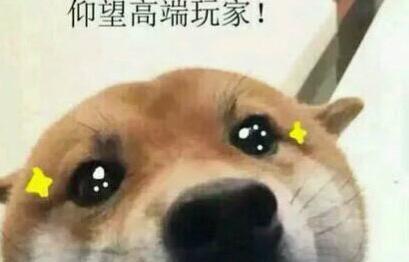 这让我想到了一个表情包,仰望高端玩家.