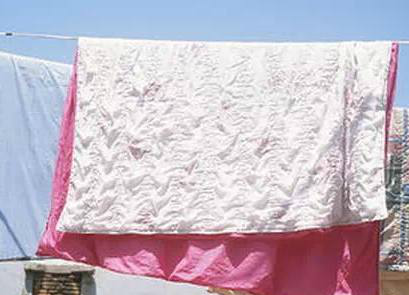 被子长时间不晒,晚上百万螨虫陪你睡,教你一招