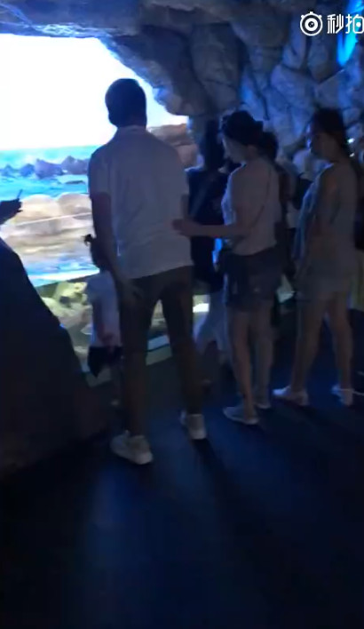 看了大S一家新加坡游，再看张柏芝的，网友：谁作秀一目了然