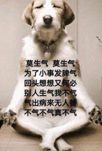 佛系表情包:我佛不渡傻x