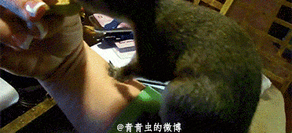 老司机下车后看了下车牌号就走了