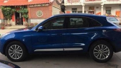 福建一男子花15万买国产保时捷, 看到内饰时, 车主大呼: 太值了!