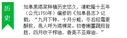 冬天南通人最爱吃的黑塌菜，根源在这里！