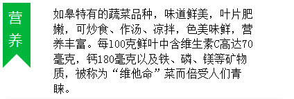 冬天南通人最爱吃的黑塌菜，根源在这里！