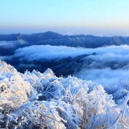 春节前必游四川11处雪窖冰天最美的雪景点!|景区|地址