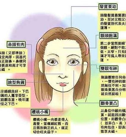 《如何看面相？》面相把人分为六大类，学会了能看懂所有人！