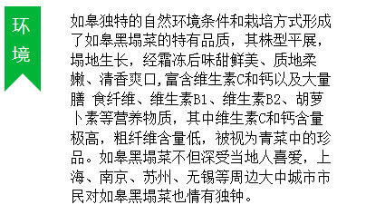 冬天南通人最爱吃的黑塌菜，根源在这里！