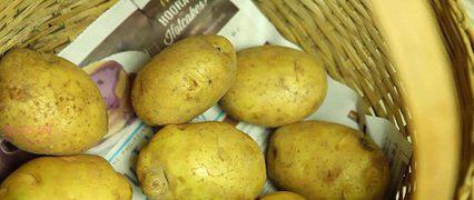 土豆如何保存不发芽、不腐烂，教你四招，可以保持一年不会坏！
