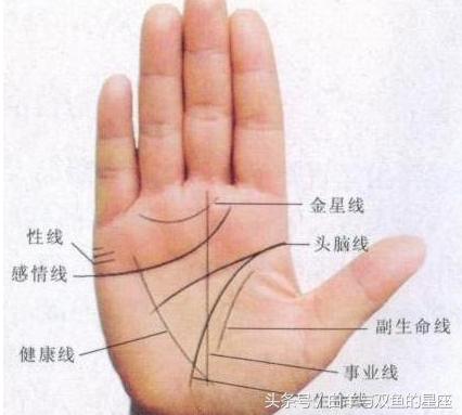 手中有"三角纹"的人,男女皆是富贵命,想不发财都难!