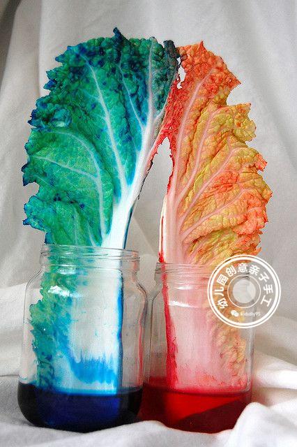 科学实验:神奇的毛细现象