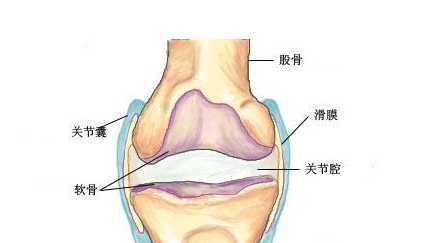 膝盖滑膜炎多年,抽了好多次积水,却被这个小偏