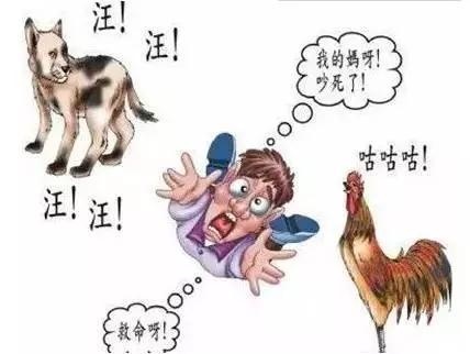 最有趣的狗年看图猜成语,我就猜对了5个!你试