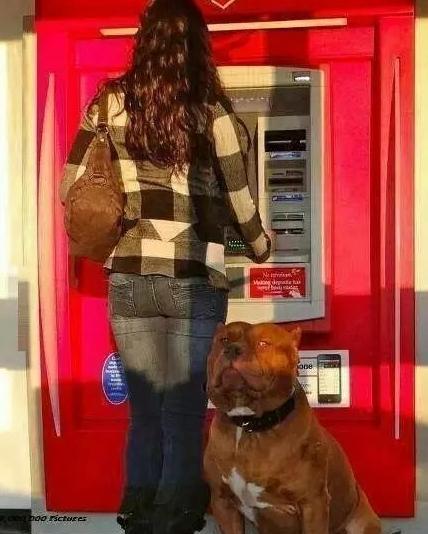 高考成绩公布后,哥们离本科录取线就差1分,瞬