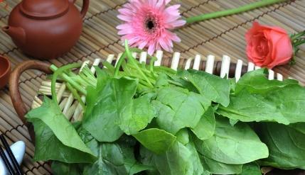 菠菜不能和什么一起吃