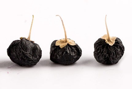 黑枸杞的鉴别方法跟选择标准