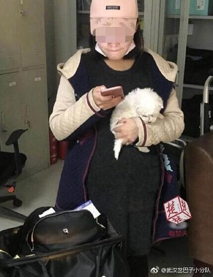 女学生扮孕妇欲藏狗登机 假肚皮动太狠露馅