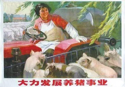 这波v画报画报动画眼睛十足,怼人也要轰轰烈鸡血表情表情包图片