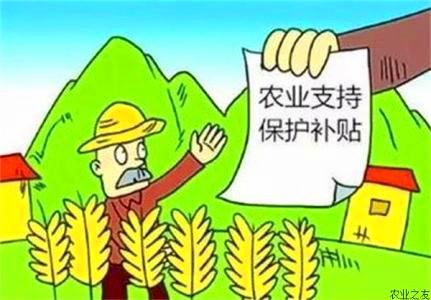 2018农村新政策出台,有九项补贴可以拿到手,这些你清楚吗?