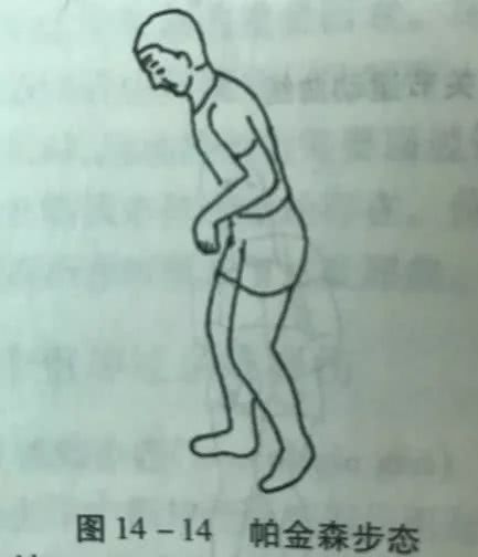 你真的会走路吗?行走是一门必修课!