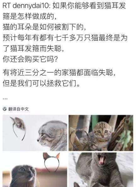 每生产一支口红,就有一只狗失去小丁丁,没有买