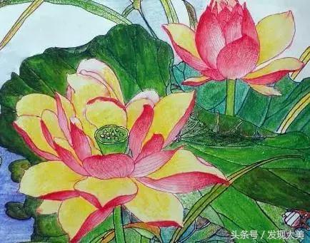 出淤泥而不染的荷花，国画欣赏