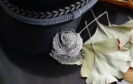 你如何辨别正式警察与协警