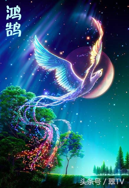 龙生九子,凤育九雏!有两个现在还真实活在世界上!