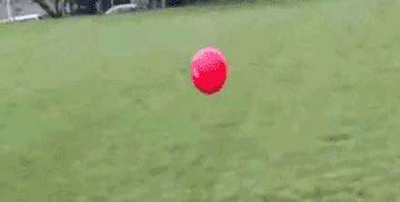 搞笑gif趣图:小姑娘,从小就是女司机!长大了肯定很厉害