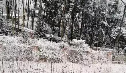 成都一夜之间多地下雪!实景图先睹为快!