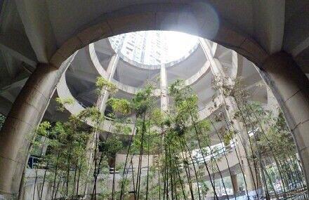 重庆小区魔幻旋转公路,回家转1440°!重庆小区