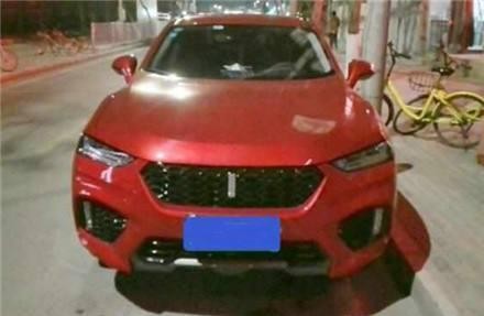 河北一男子买长城WEY,  坦言: 每次看仪表盘都很无奈