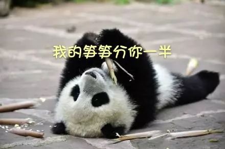 “南方大户”的操作震惊了北方人！四川人露出迷之微笑：小意思！