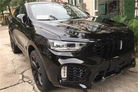 妙龄女子花20万买长城WEY，花一万二贴膜，结果成这副样子！