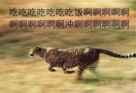 各种动物们冲去吃饭表情包