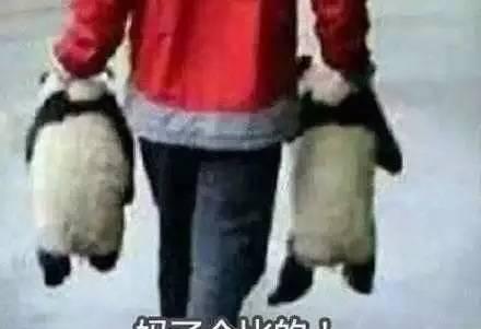 斗图搞笑学生祝各位表情人物图片的丑搞笑佬v学生顺利图片