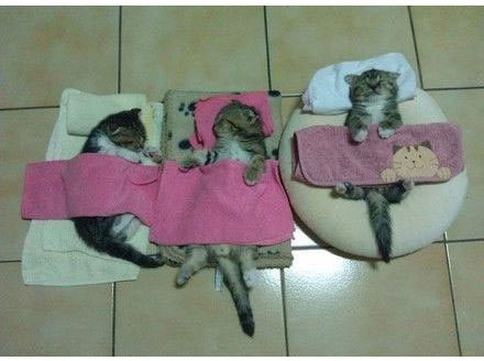 和朋友去面试,考官问了网上很火的一个问题:你