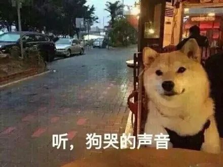 你妈逼你相亲了吗，哈哈哈