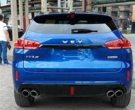 国内一男子花18万买长城WEY, 仅仅洗了一个车, 就直接返厂!