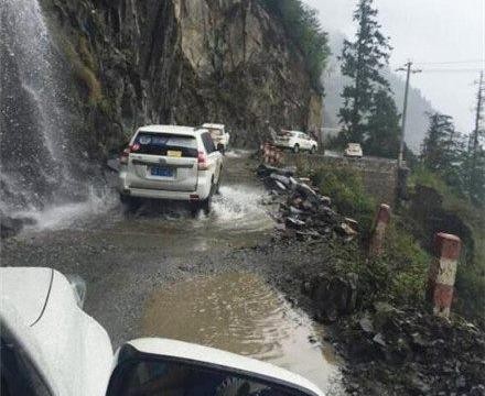 50万越野车山坡坠落，撞断几棵树后停下，车主直呼：这质量可以！