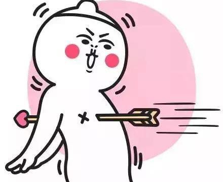 狗年即将换代的5款热卖车型，今年要不要行动？