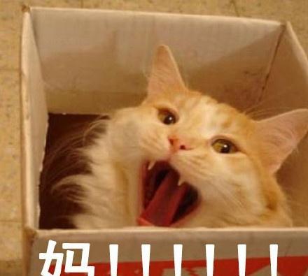 离不开我妈每天和妈的日常萌萌表情包你妈喊你回家吃饭
